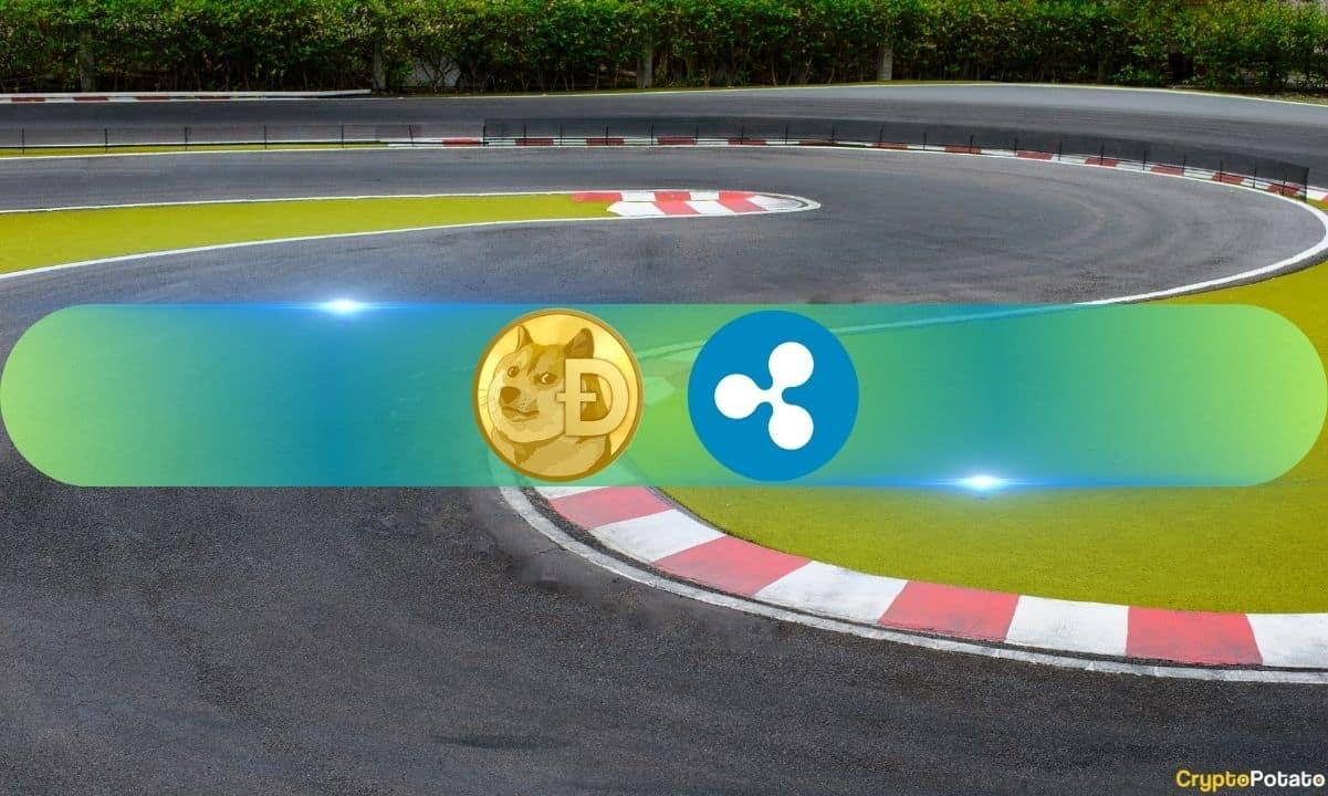 XRP Bounces Back to Over /uploadfile/coin/2024/1116/1s31ssa811a608609ss086.jpg in New ATH Prediction at Ripple, Surpassing DOGE